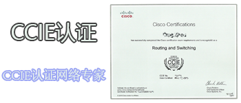 partner-image